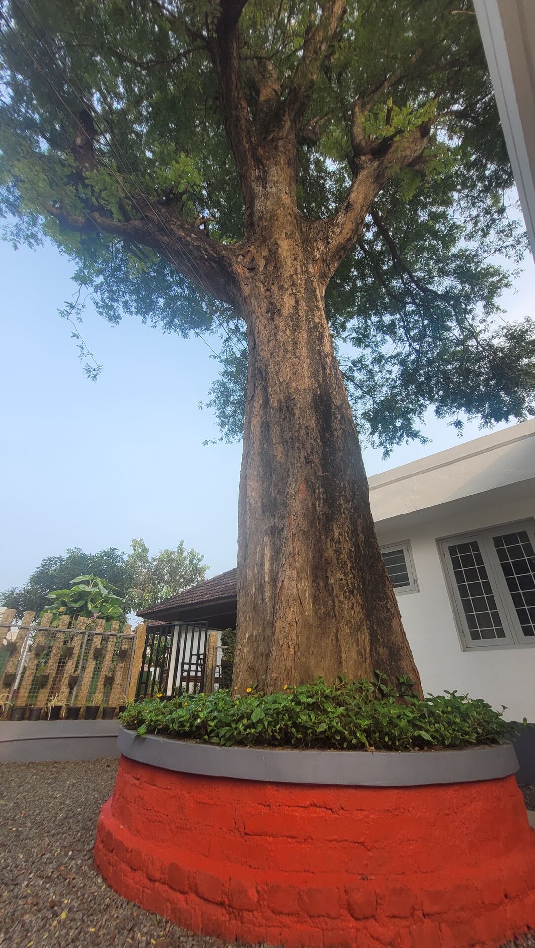 Maya Aangan Exterior